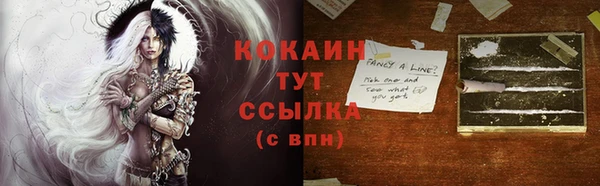 ГАЛЛЮЦИНОГЕННЫЕ ГРИБЫ Гусиноозёрск