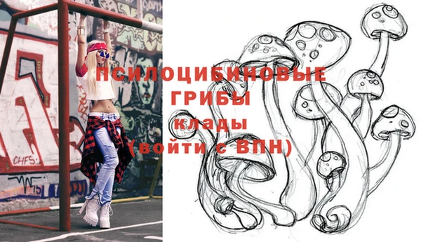 винт Гусев