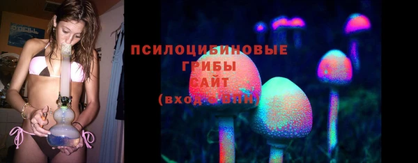 стаф Гусь-Хрустальный