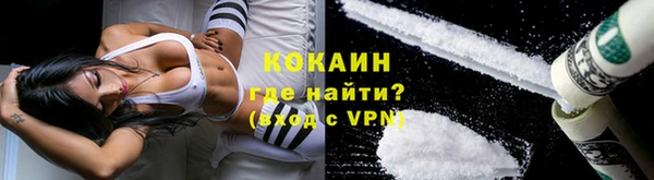 стаф Гусь-Хрустальный