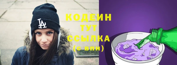 стаф Гусь-Хрустальный