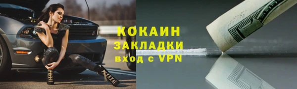 винт Гусев