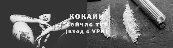 стаф Гусь-Хрустальный