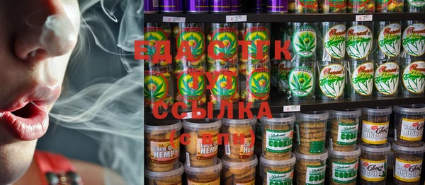 стаф Гусь-Хрустальный