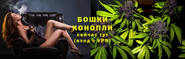 стаф Гусь-Хрустальный