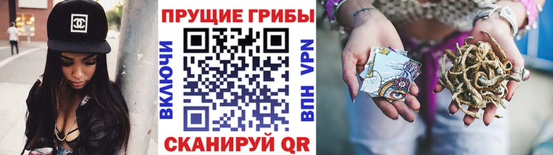 Галлюциногенные грибы Cubensis Сыктывкар