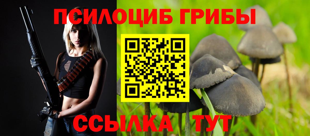 Галлюциногенные грибы мухоморы Сыктывкар